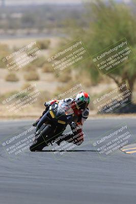 media/May-14-2023-SoCal Trackdays (Sun) [[024eb53b40]]/Turn 5 Tree of Life (1125am)/